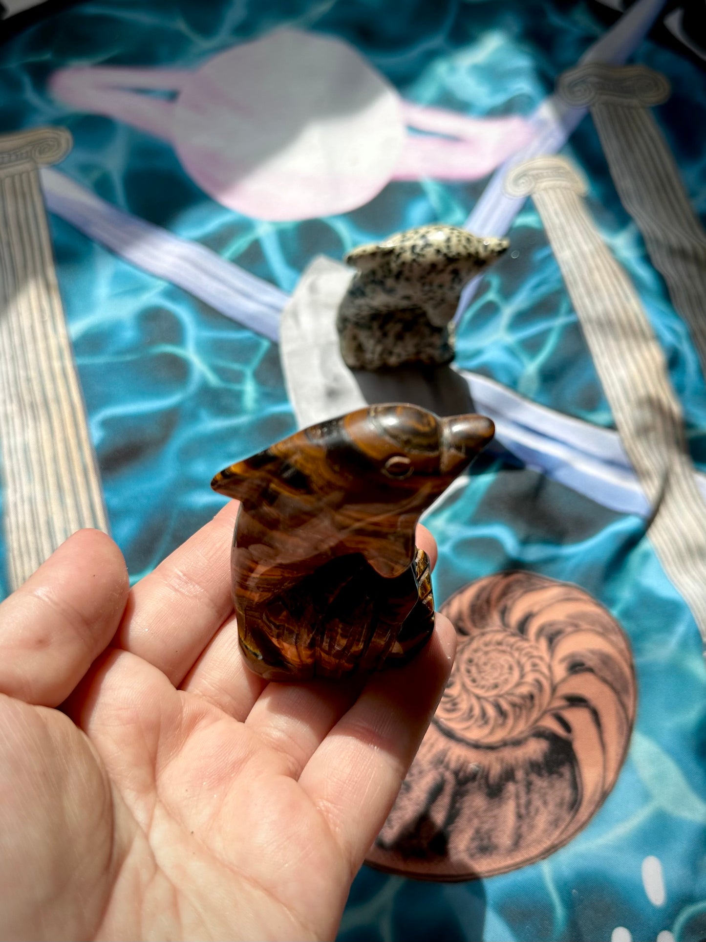 CRYSTAL DOLPHIN