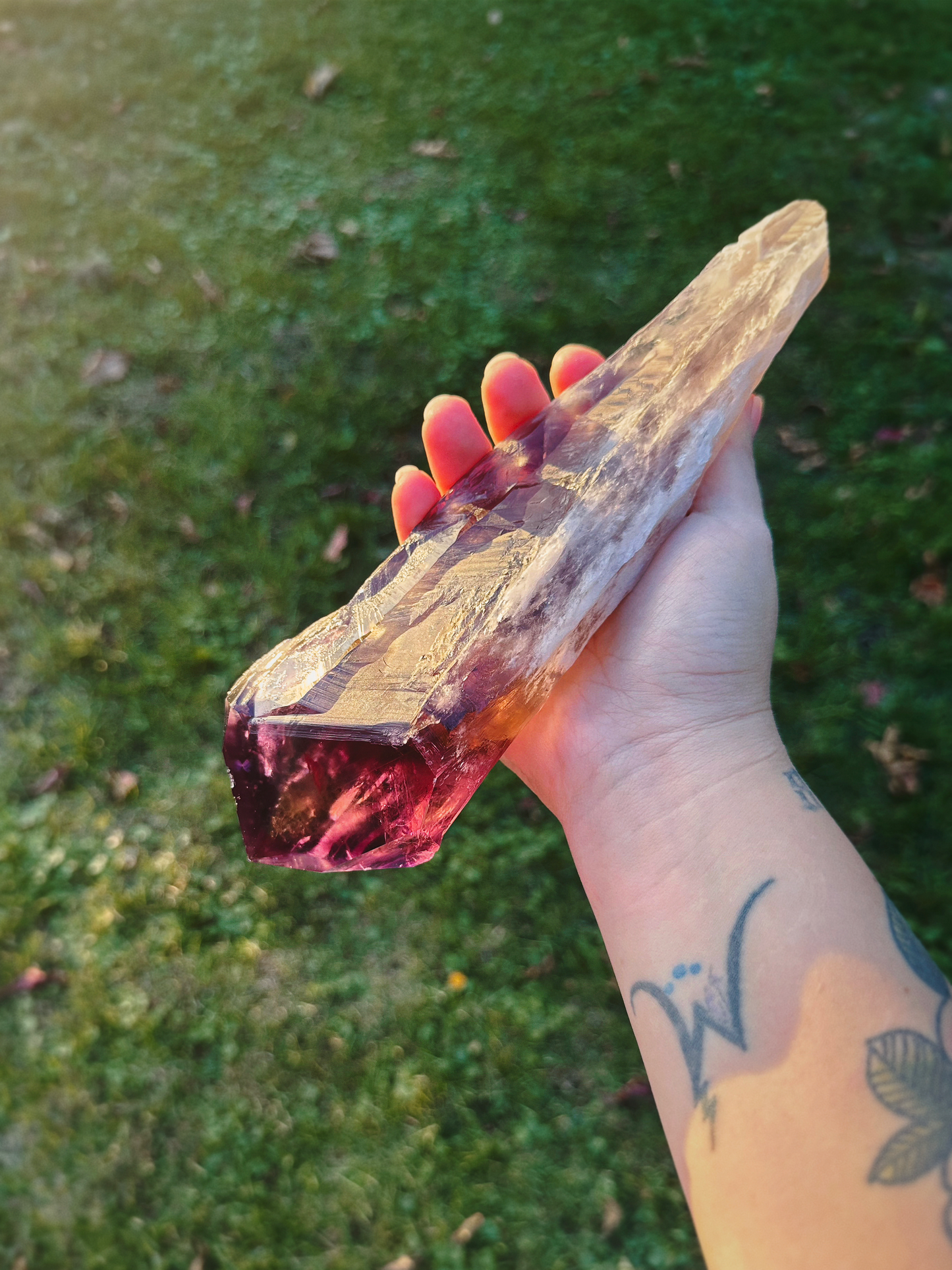 ANCESTORS’ WAND ~ AMETRINE ROOT
