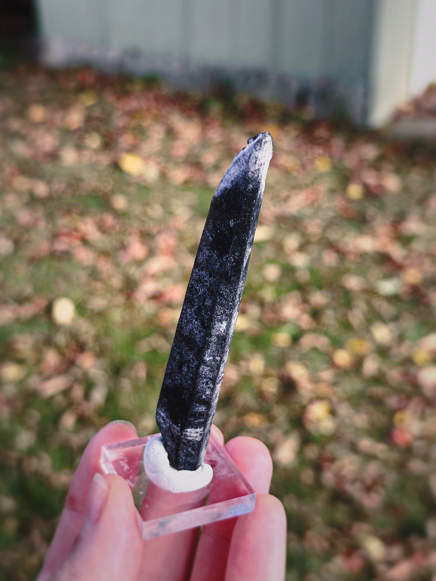 SHADOW CONDUIT ~ BLACK MONGOLIAN QUARTZ