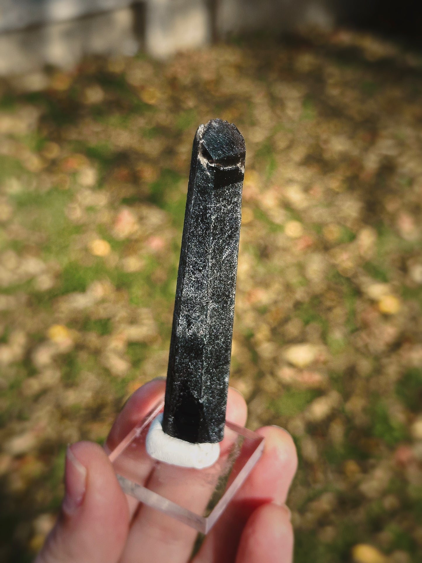 SHADOW CONDUIT ~ BLACK MONGOLIAN QUARTZ