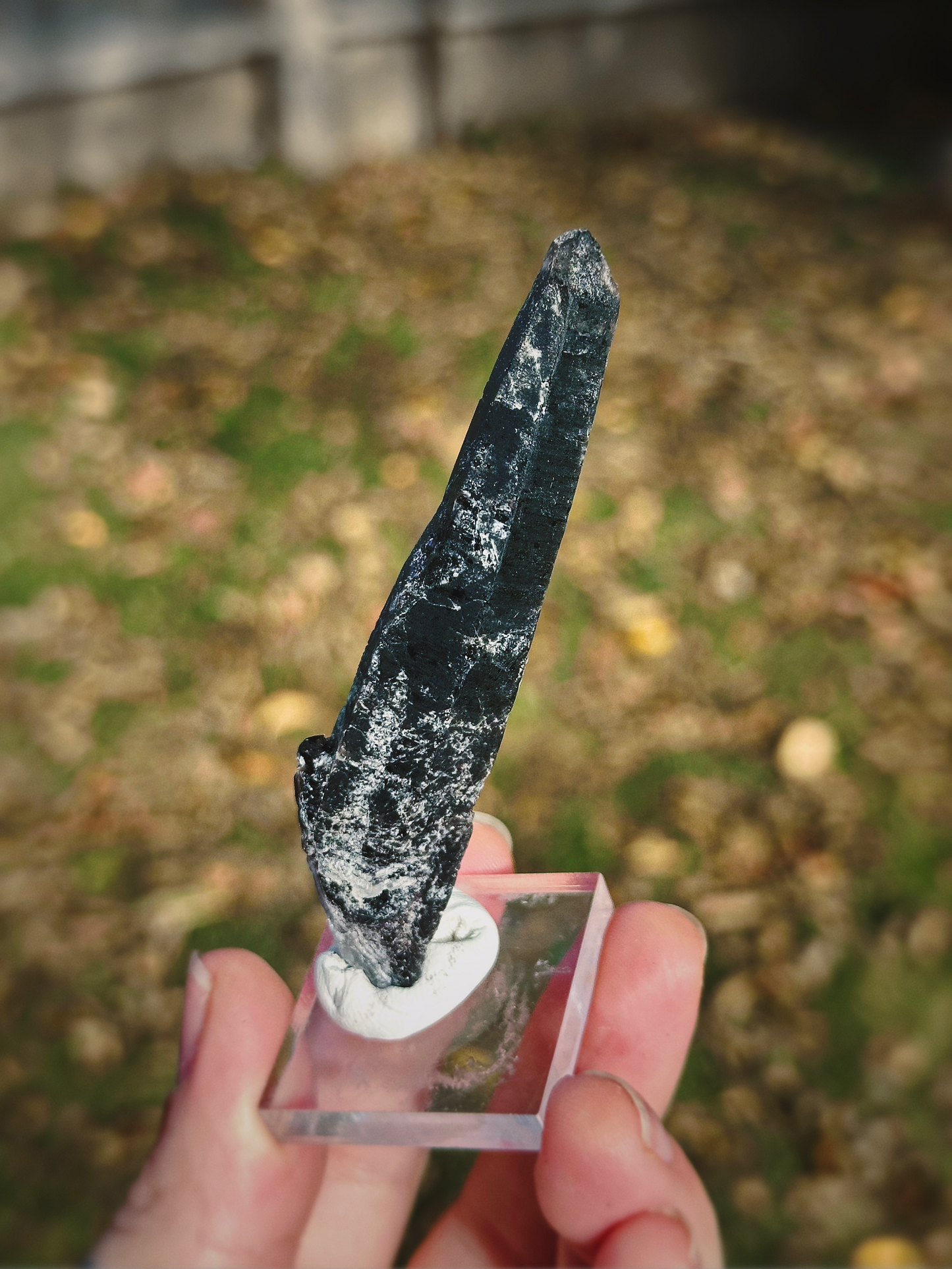 SHADOW CONDUIT ~ BLACK MONGOLIAN QUARTZ