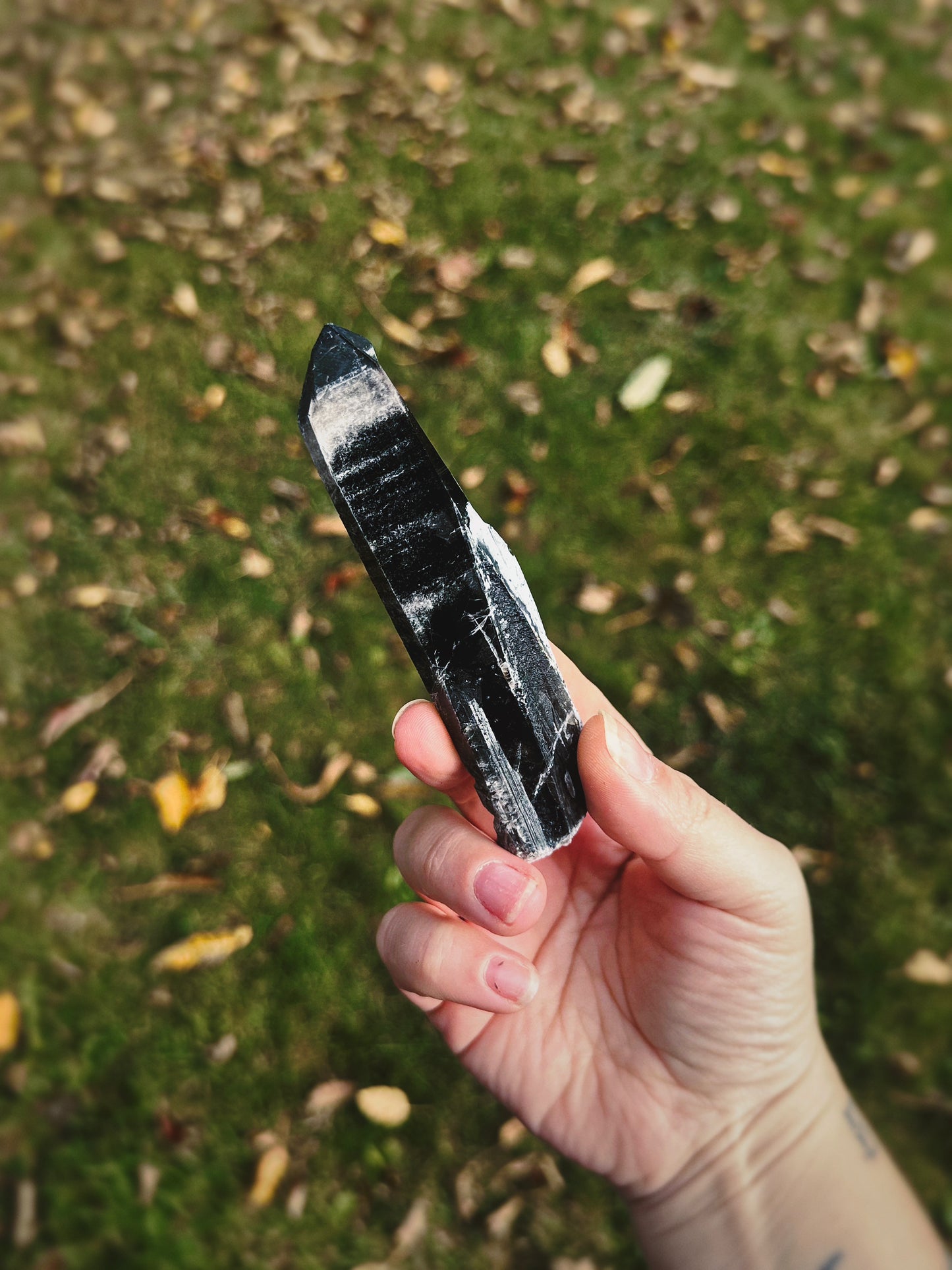 SHADOW CONDUIT ~ BLACK MONGOLIAN QUARTZ