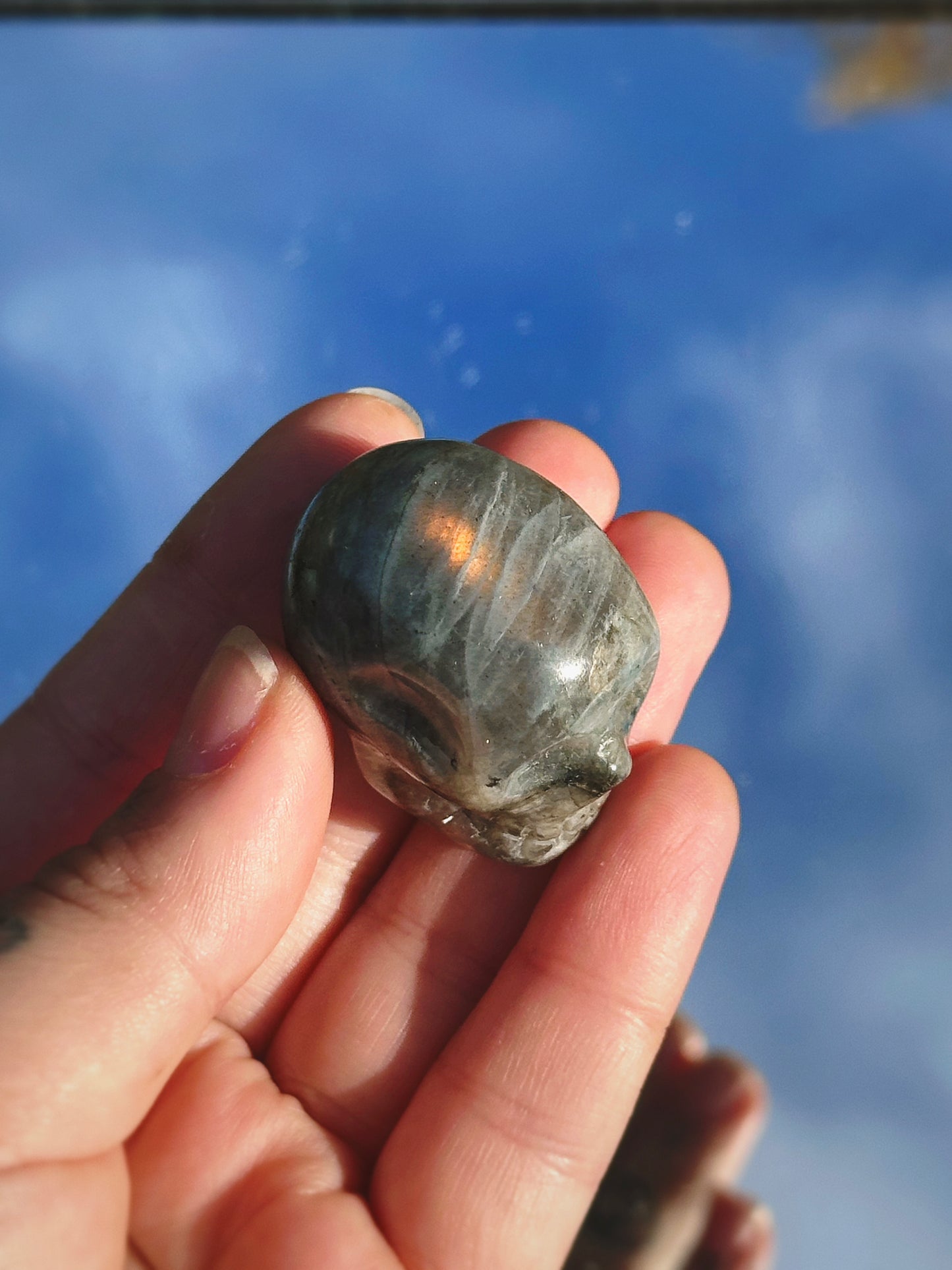 LABRADORITE ANCESTORS ~ CRYSTAL SKULL