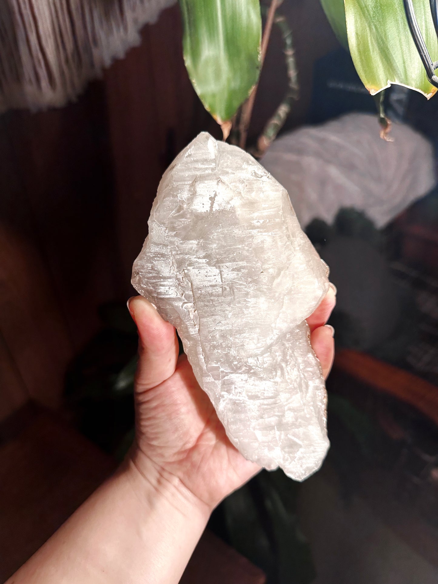 STINGRAY ~ TABULAR ELESTIAL QUARTZ