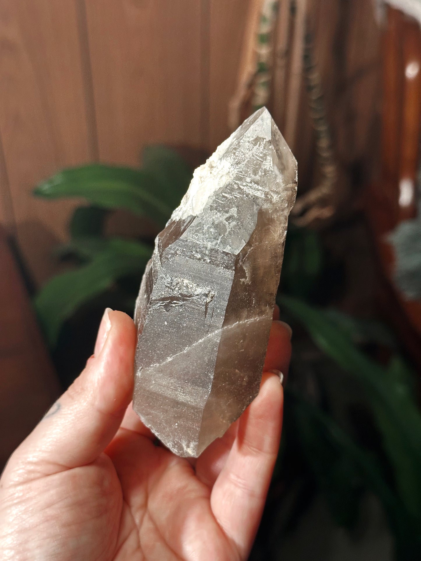 CARGO VULTURE ~ SMOKY QUARTZ SCEPTER