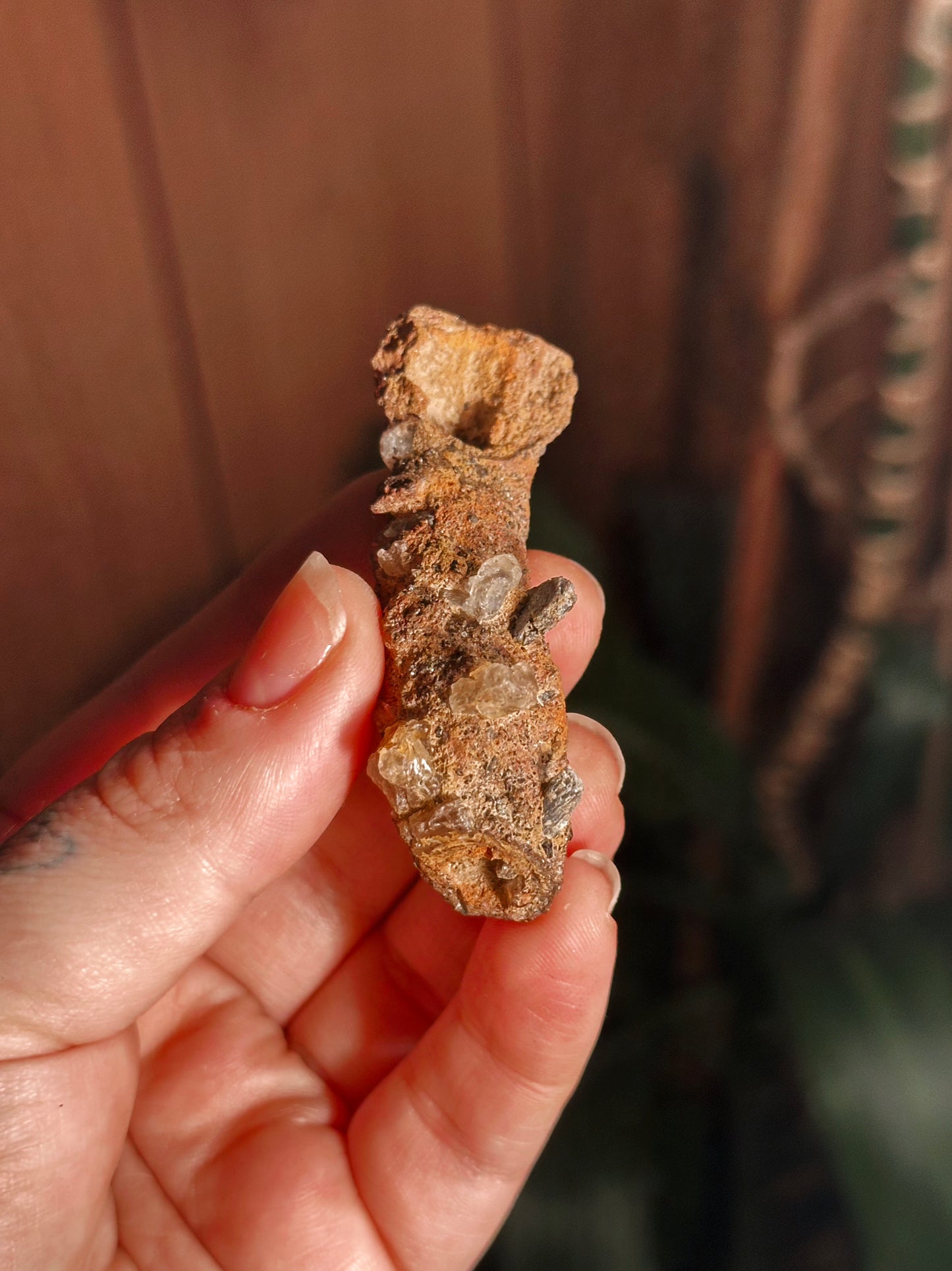 RARE ~ 22g. FULGURITE ~ PETRIFIED WOOD