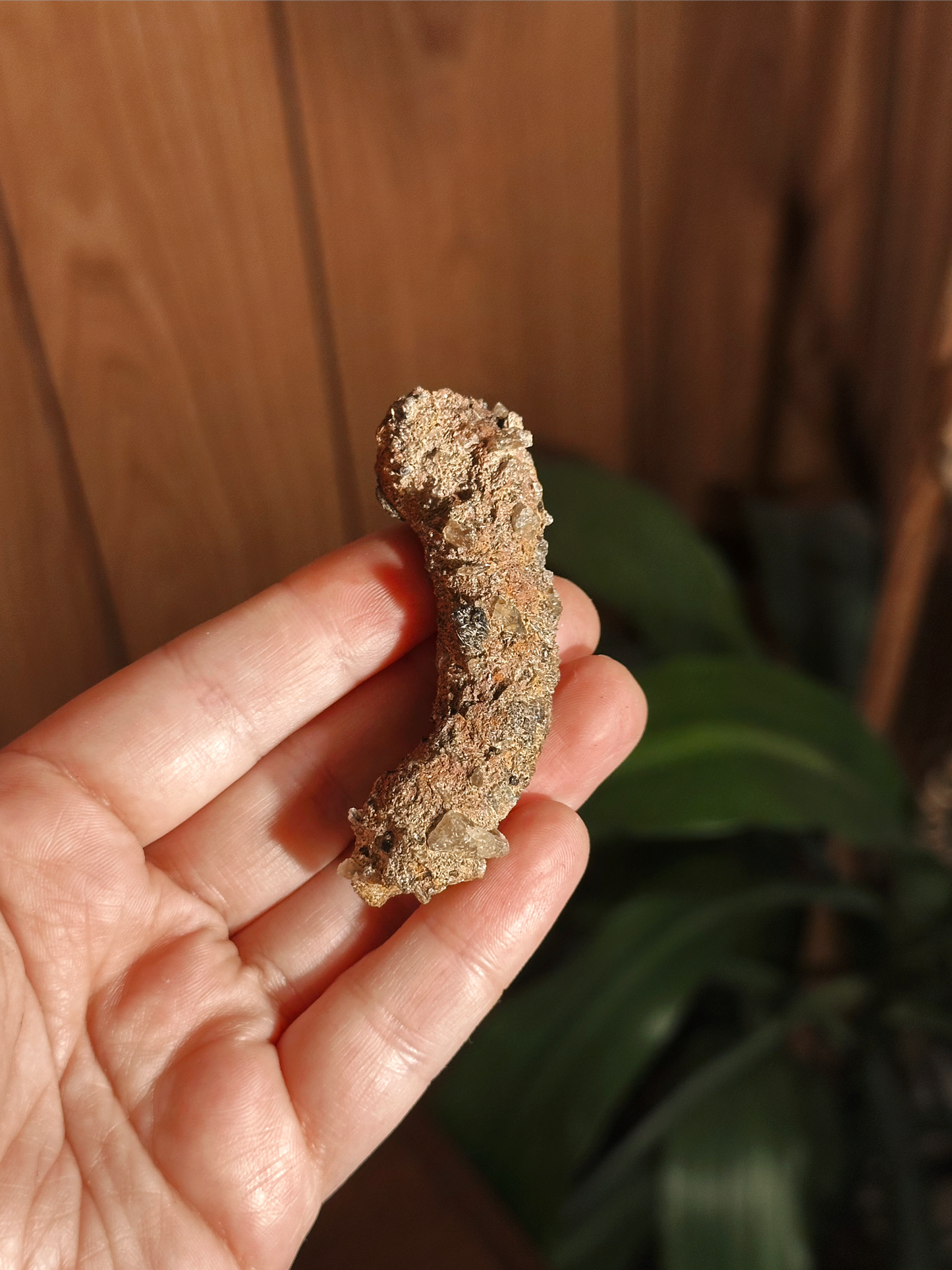 RARE ~ 25.6g. FULGURITE ~ PETRIFIED LIGHTNING