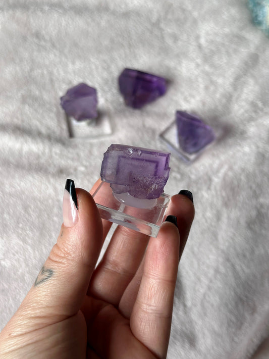 22g. PURPLE FLUORITE