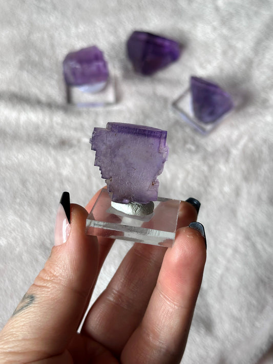 15g. PURPLE FLUORITE