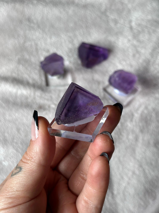 24g. PURPLE FLUORITE