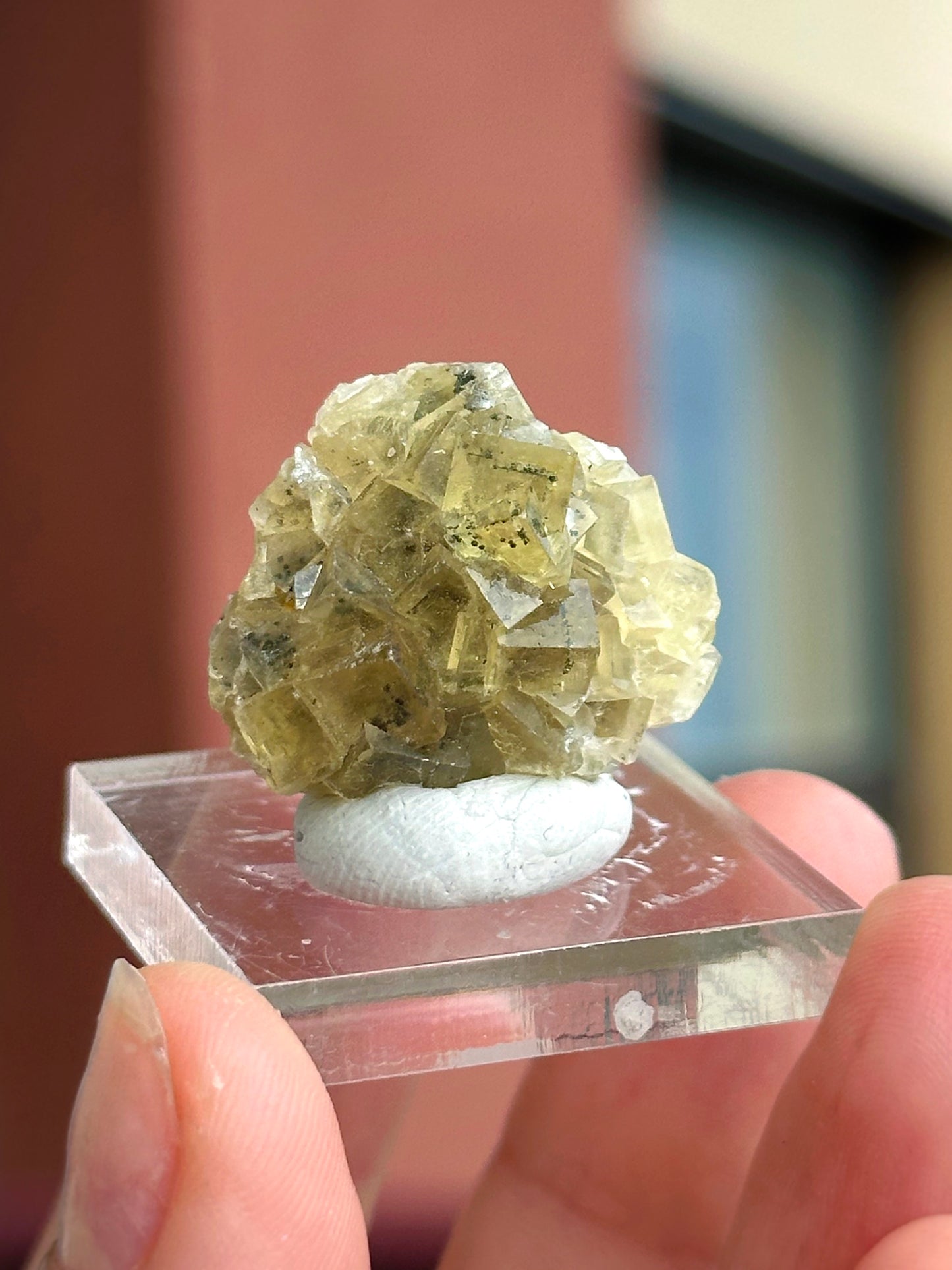 8g. YELLOW FLUORITE