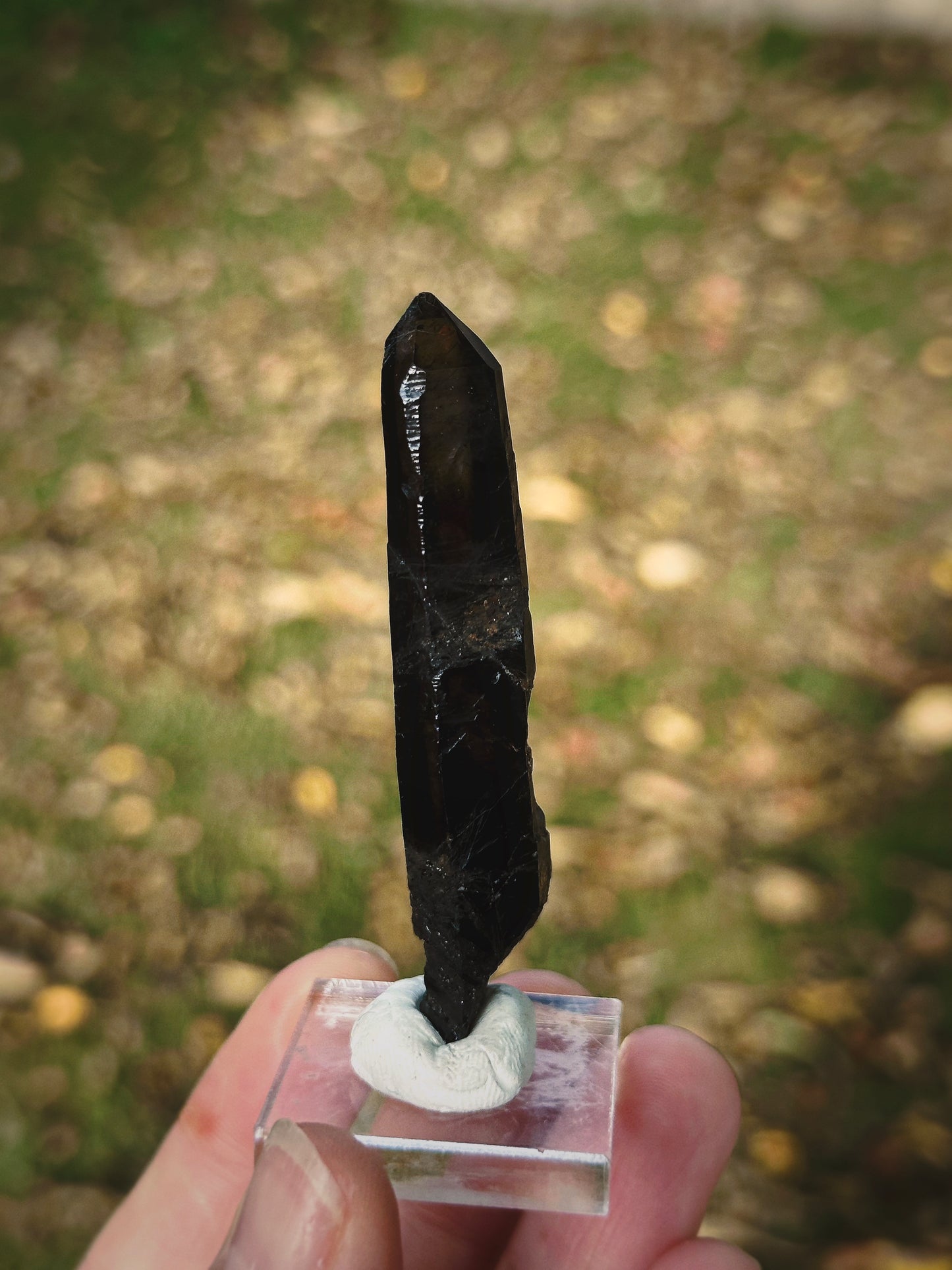 SHADOW CONDUIT ~ BLACK MONGOLIAN QUARTZ