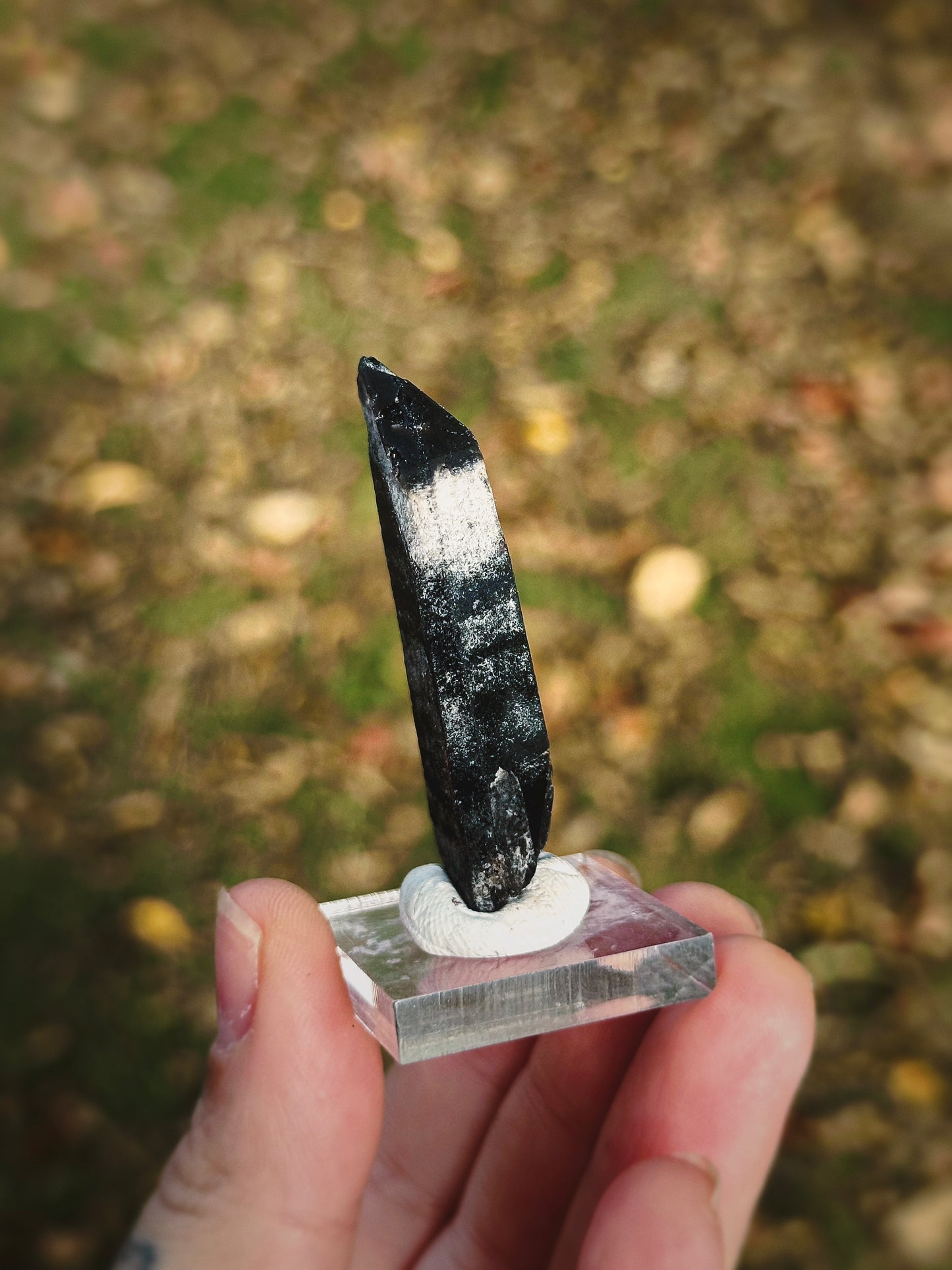 SHADOW CONDUIT ~ BLACK MONGOLIAN QUARTZ