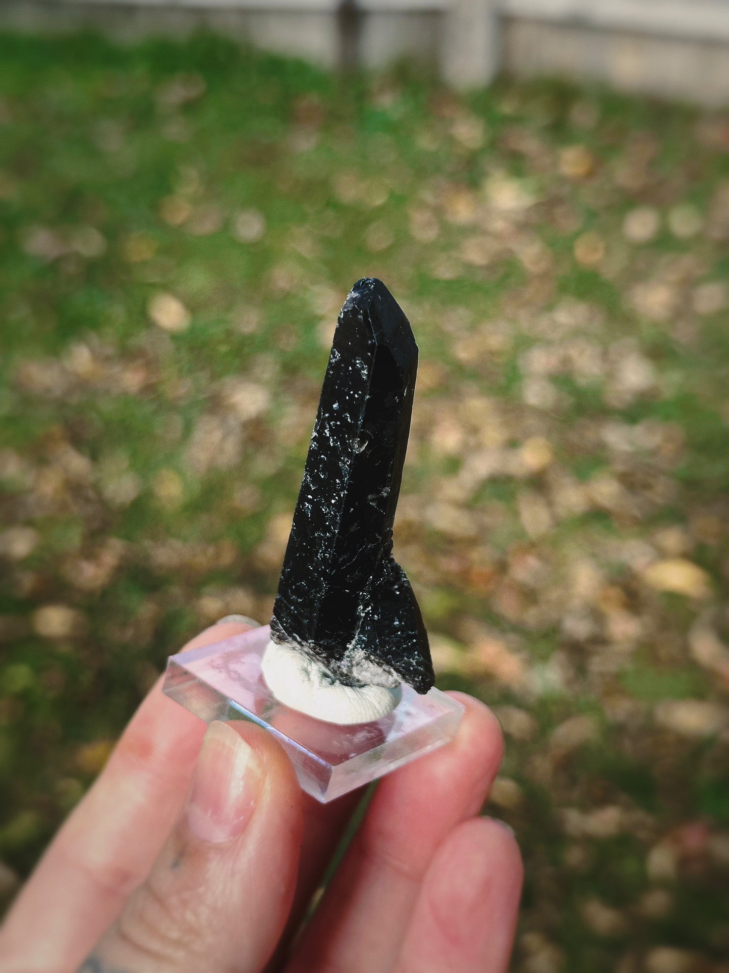 SHADOW CONDUIT ~ BLACK MONGOLIAN QUARTZ