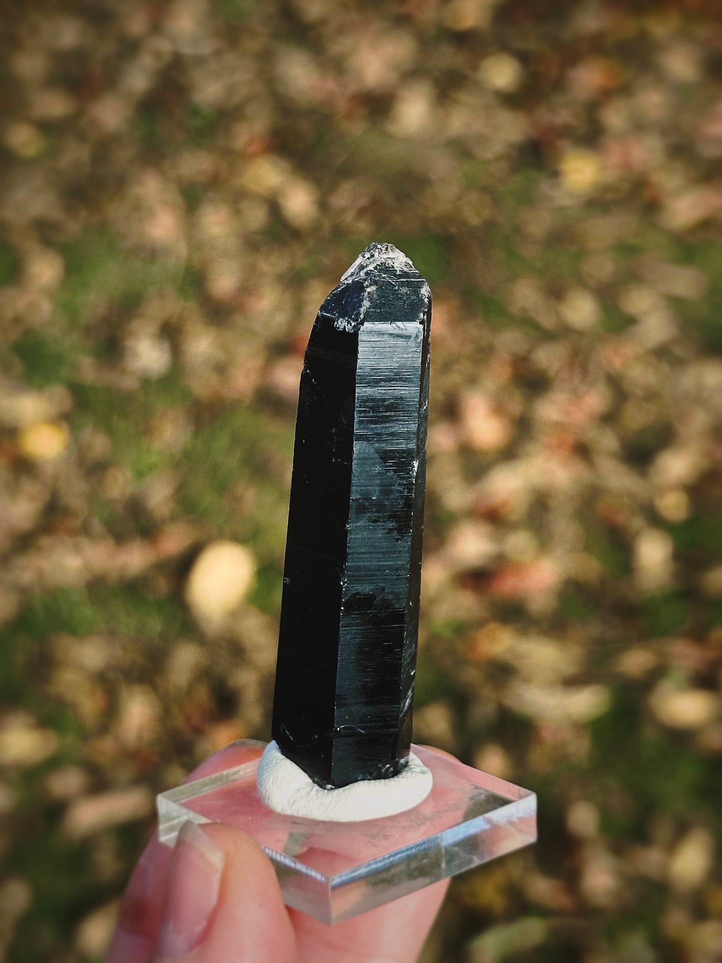 SHADOW CONDUIT ~ BLACK MONGOLIAN QUARTZ
