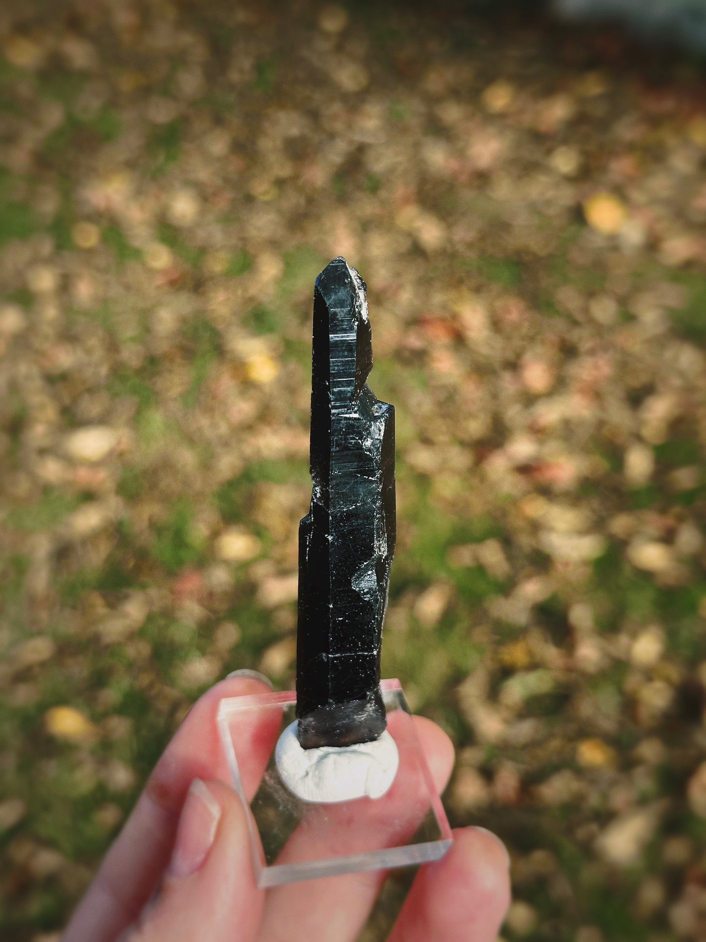 SHADOW CONDUIT ~ BLACK MONGOLIAN QUARTZ