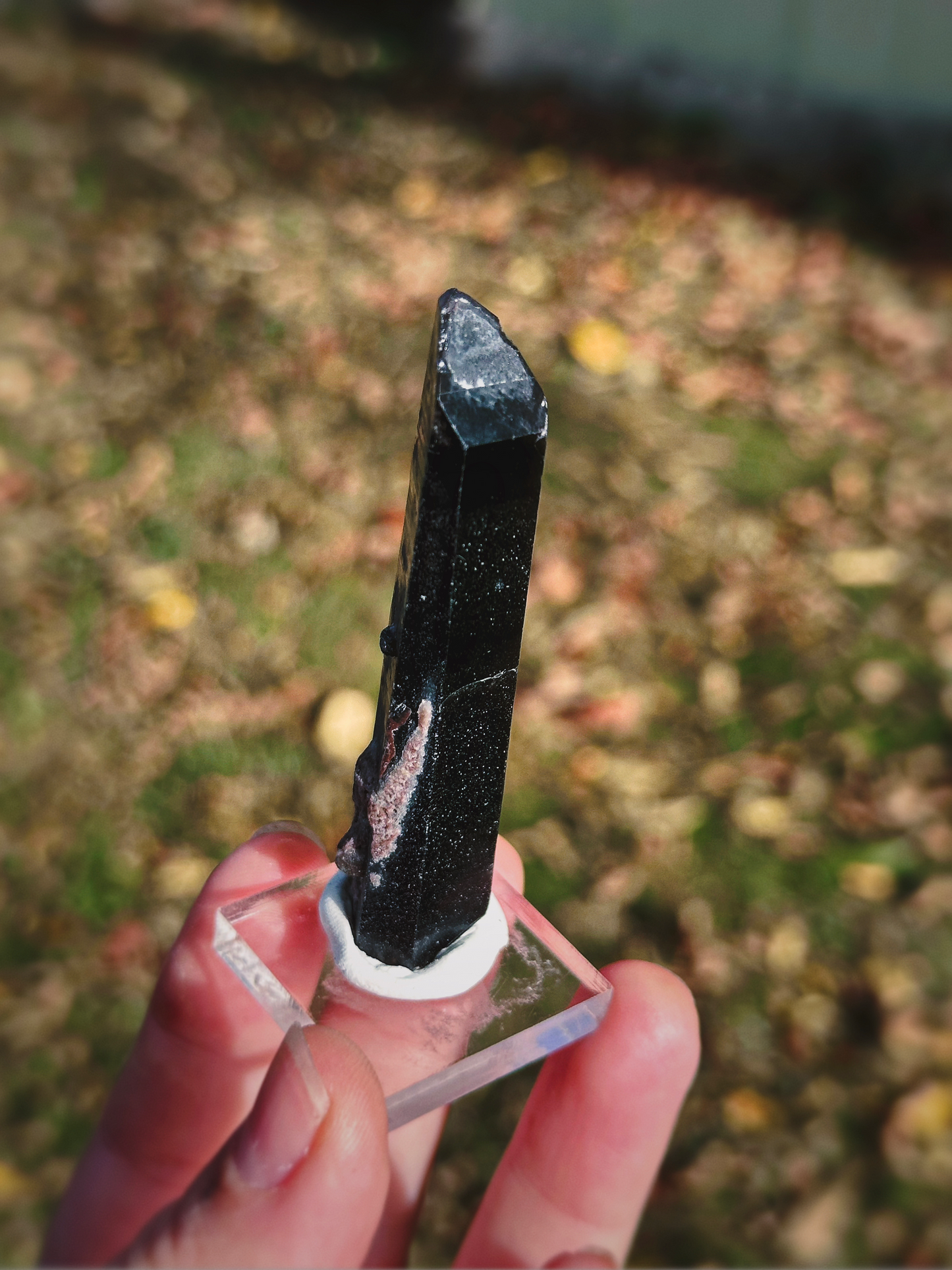 SHADOW CONDUIT ~ BLACK MONGOLIAN QUARTZ
