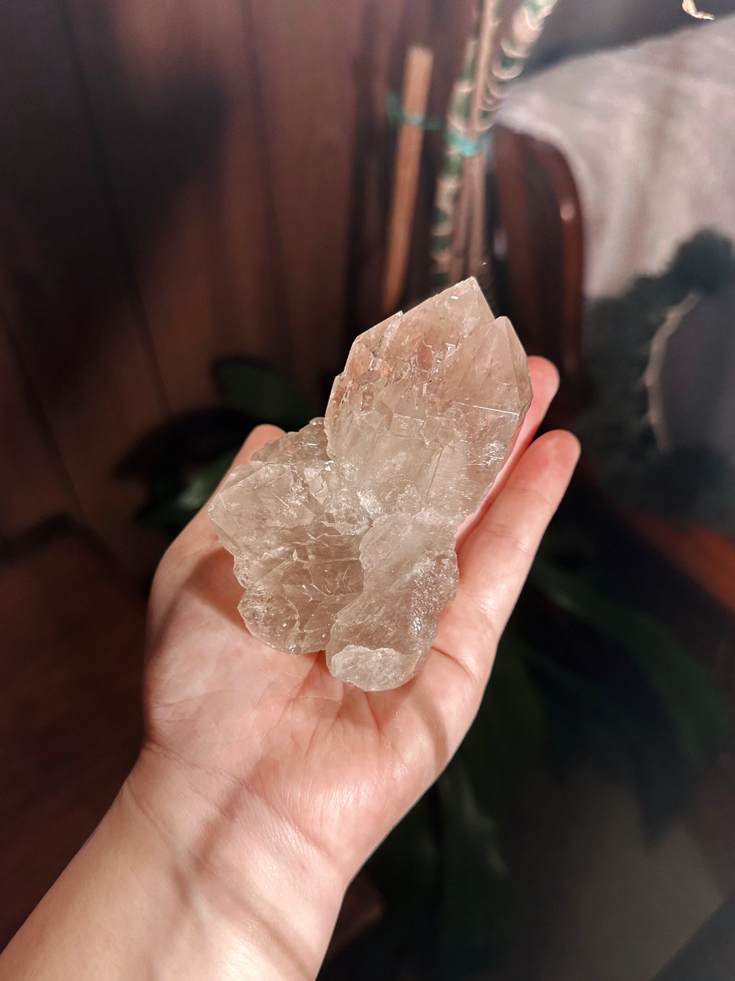 ANDROMEDA THRONE ~  SMOKY ELESTIAL QUARTZ FLOWER