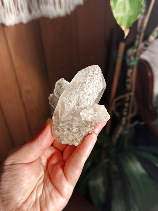 VOYAGER ~ SELF HEALED LODOLITE QUARTZ