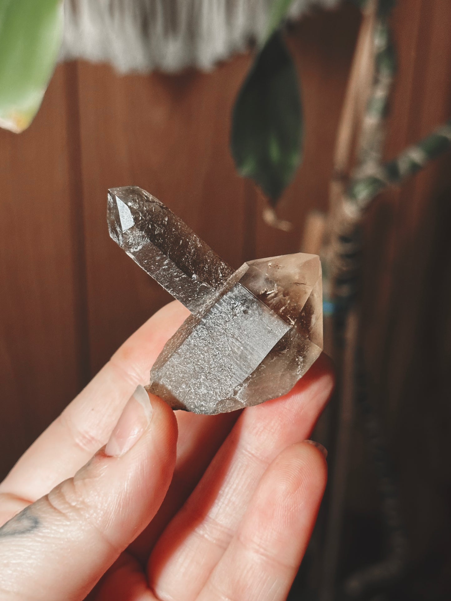 VEILED WAVE ~ SMOKY QUARTZ PHANTOM SPECIMEN