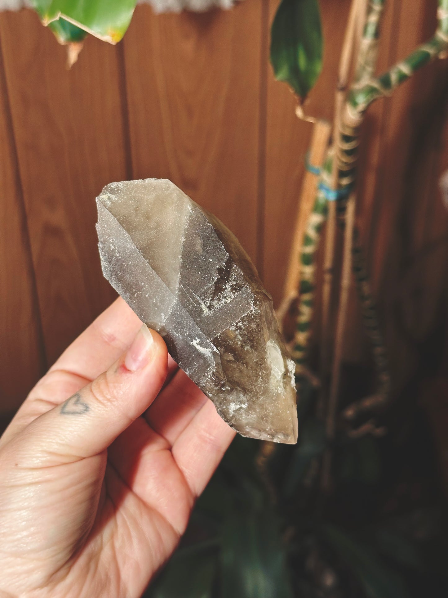 CARGO VULTURE ~ SMOKY QUARTZ SCEPTER