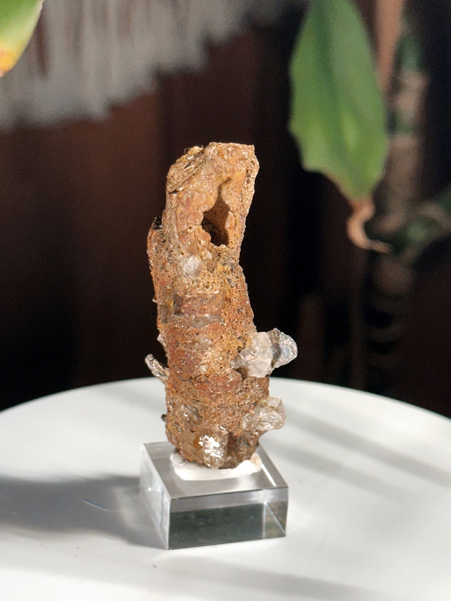 RARE ~ 22g. FULGURITE ~ PETRIFIED WOOD