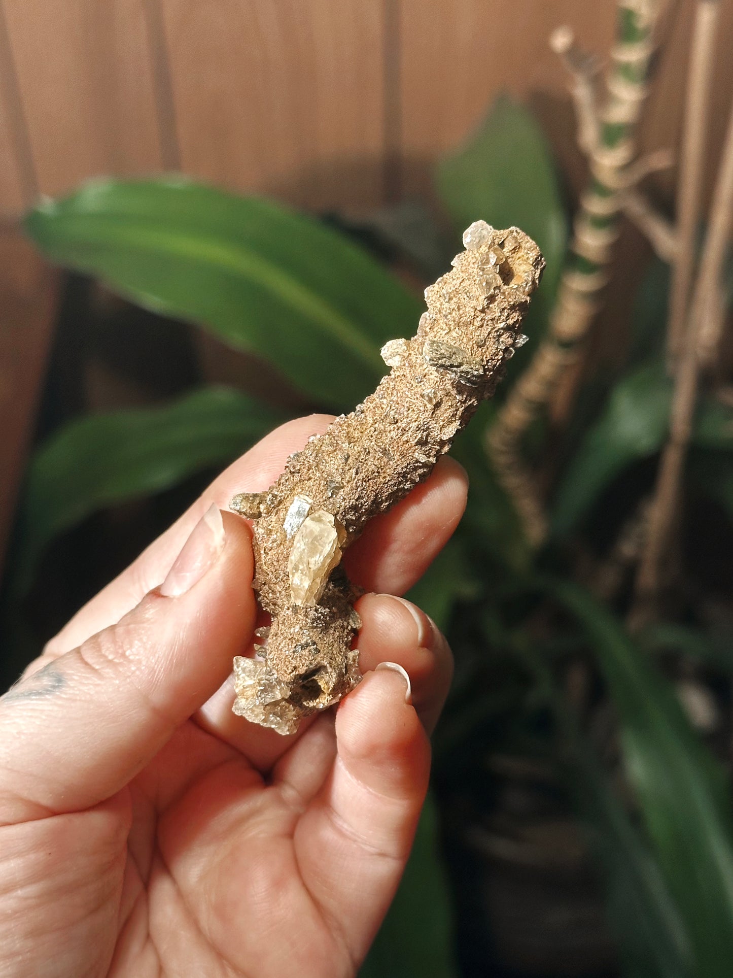 RARE ~ 27g. FULGURITE ~ PETRIFIED LIGHTNING