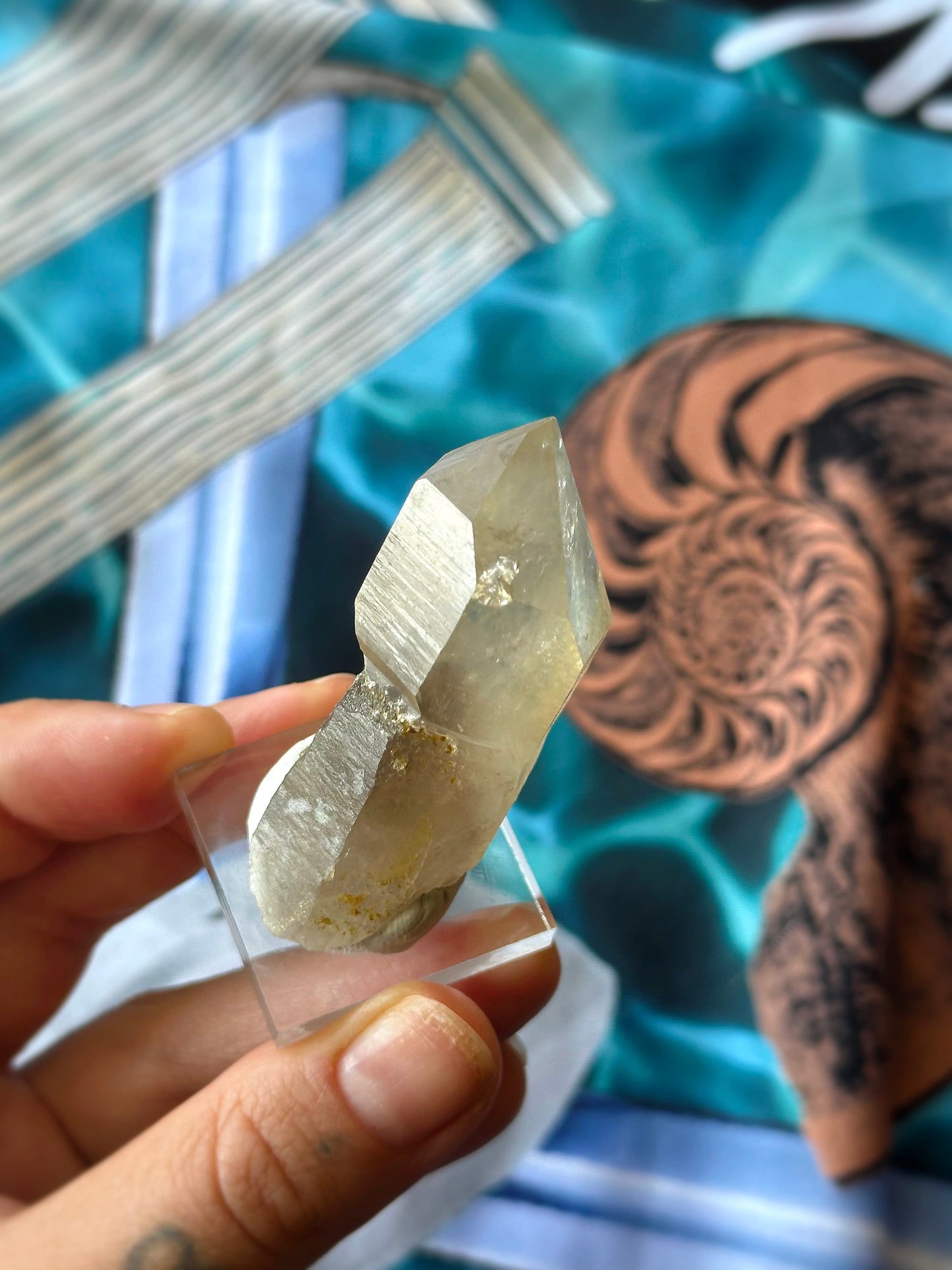 ALBIREO ~ CITRINE SCEPTER