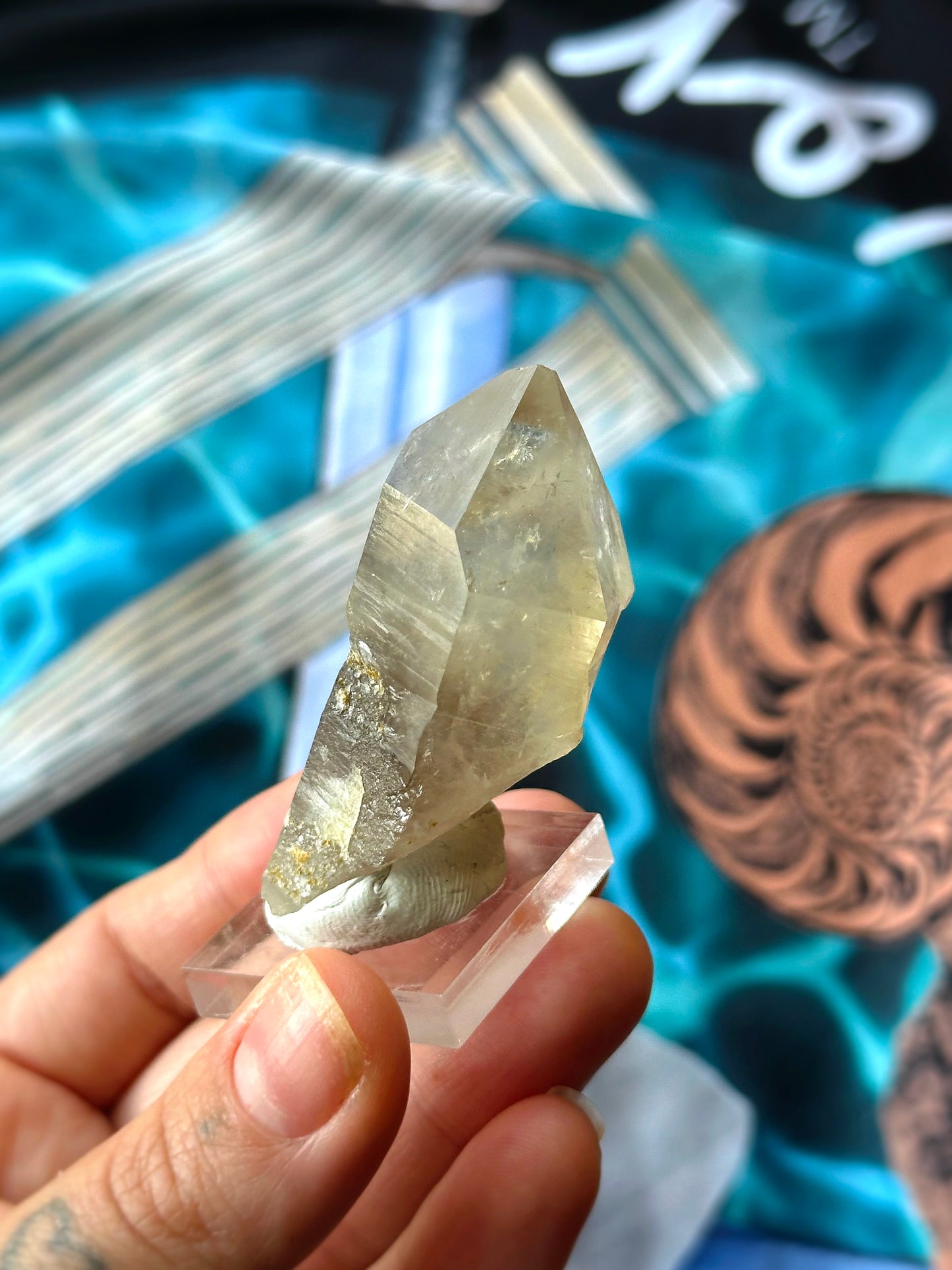 ALBIREO ~ CITRINE SCEPTER