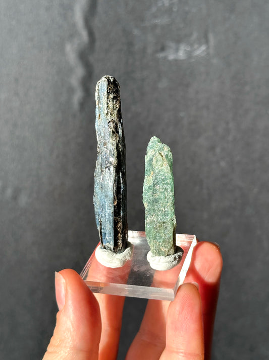 GEMMY KYANITE BUNDLE