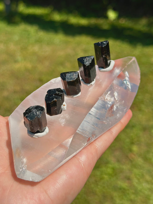 DRAVITE ~ 1 PIECE