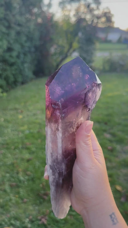 ANCESTORS’ WAND ~ AMETRINE ROOT