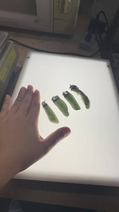 VERY RARE ~ LARGE STERLING SILVER MOLDAVITE PENDANTS