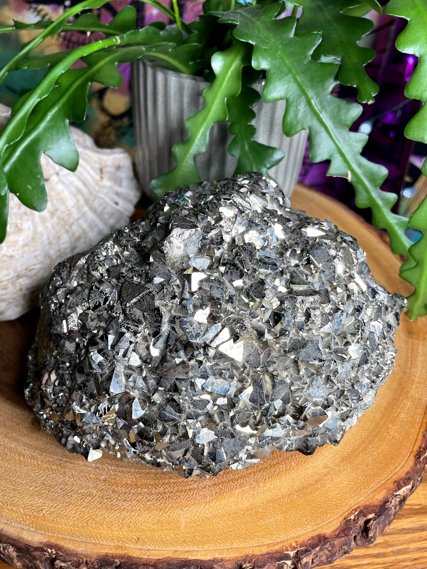 777 LUCKY MOUNTAIN ~ 15lbs. PYRITE